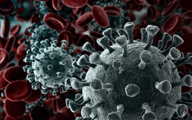 Как защититься от коронавируса 2020: все способы и средства защиты от инфекции