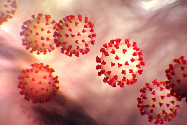 Сколько живет коронавирус во внешней среде без носителя
