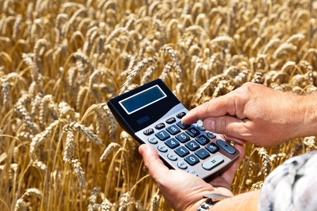 Субсидии на сельское хозяйство в 2021 году: какие программы существуют, суммы, условия